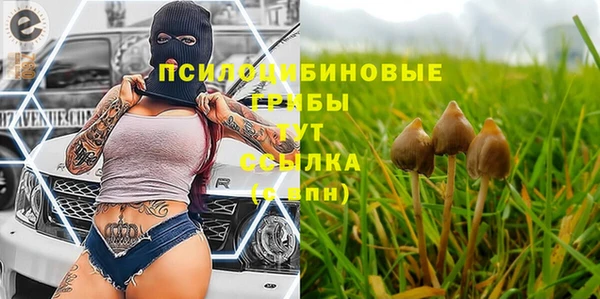 ALPHA PVP Вязьма