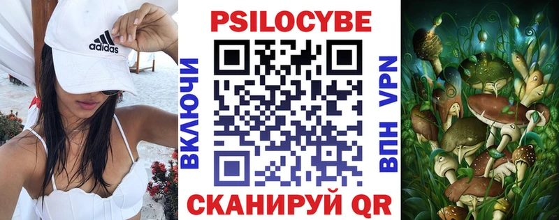 где продают   hydra зеркало  Галлюциногенные грибы мухоморы  Дно 