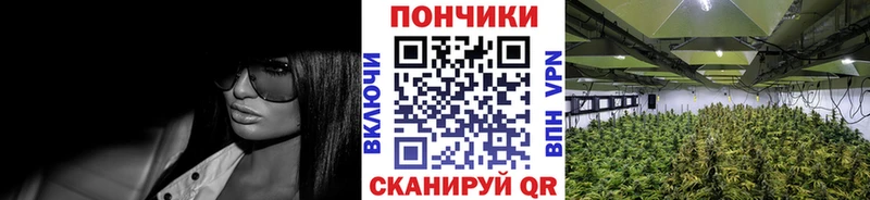 Бошки марихуана VHQ  цена наркотик  кракен вход  Дно 